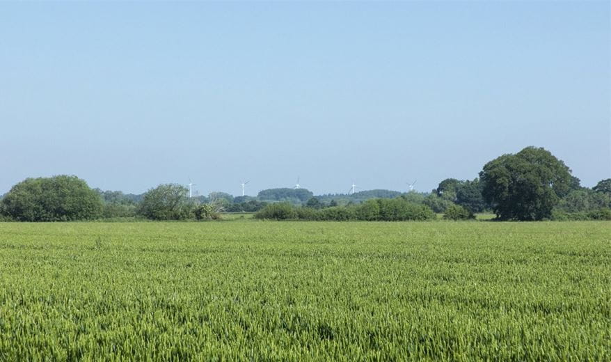 165.5 acres Land, Ashbury, Swindon SN6 - Sold