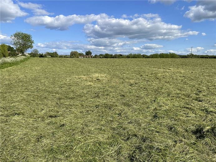 4.3 acres Land, Land At Paynes Lane, Milton TA12 - Sold STC