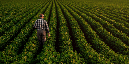 Farmer waling through cops