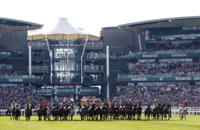 Row of racing horses at the grand national