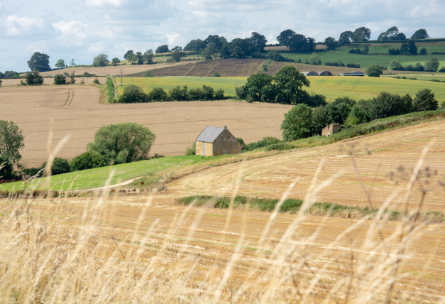 View of land at shooting estate in the Cotswolds
