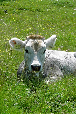 /-/media/images/did-you-know-images/weathering-the-storm.ashx