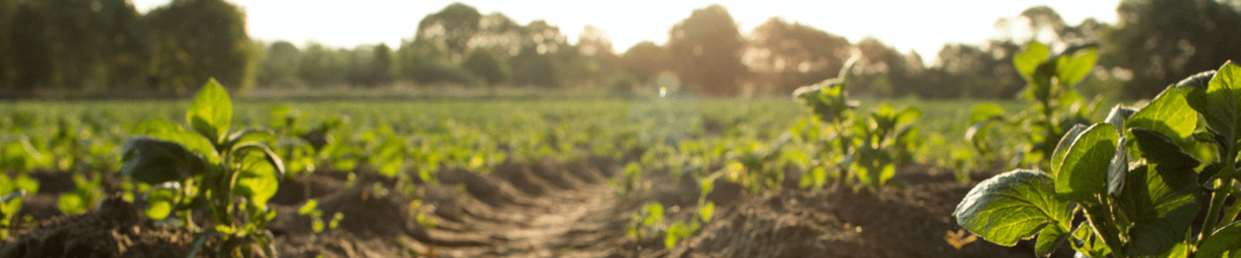 Farmland