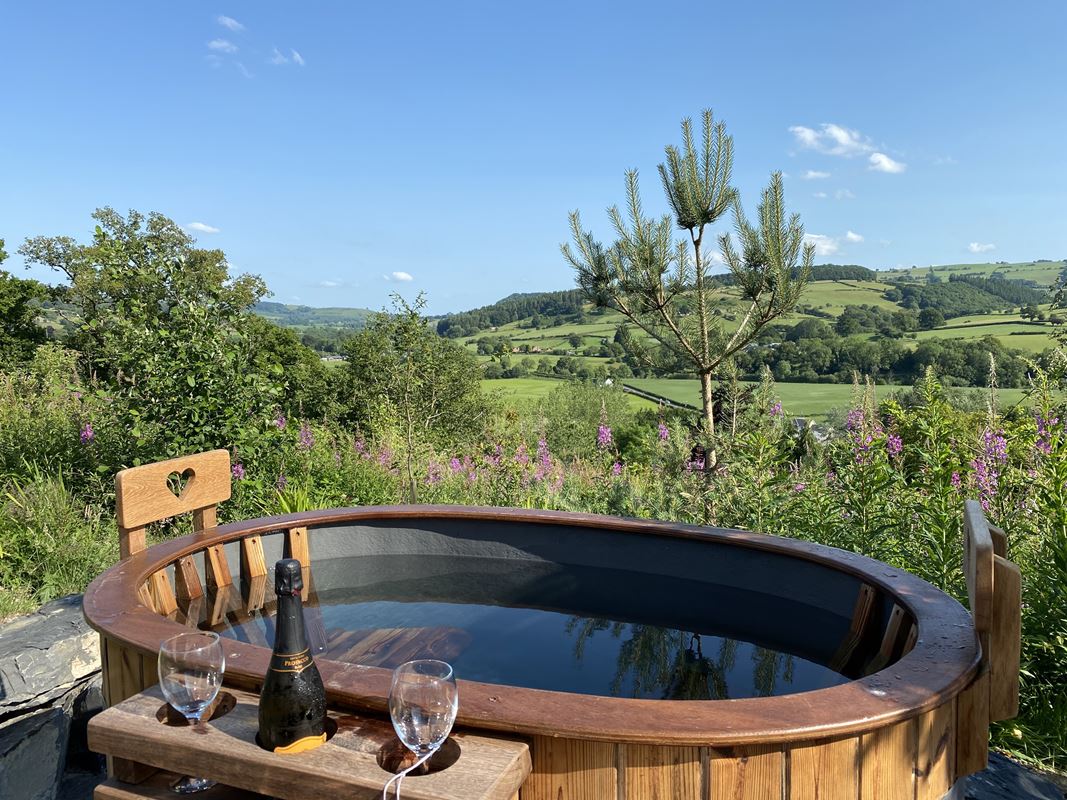 2.3 acres , Llangyniew SY21 - Available