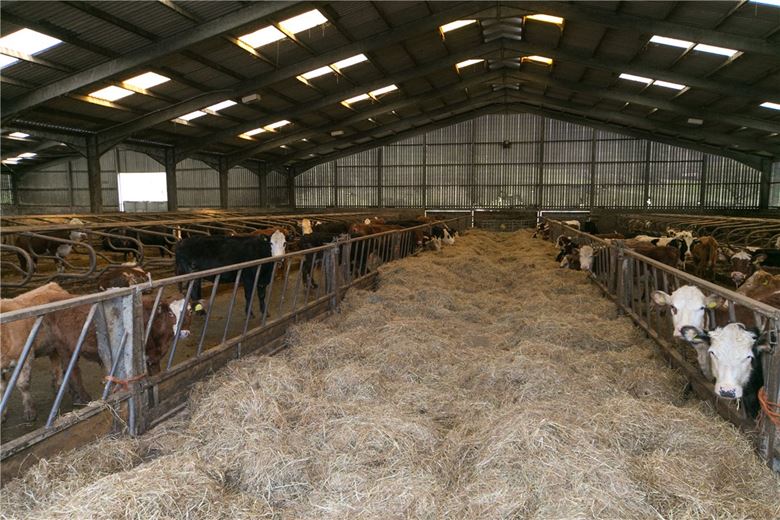 94.1 acres Farm, Tre'r Ddol, Machynlleth SY20 - Sold STC