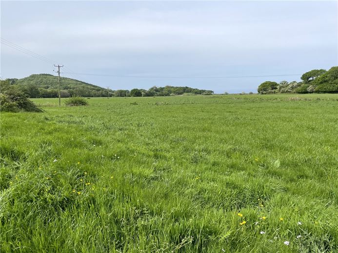 94.1 acres Farm, Tre'r Ddol, Machynlleth SY20 - Sold STC