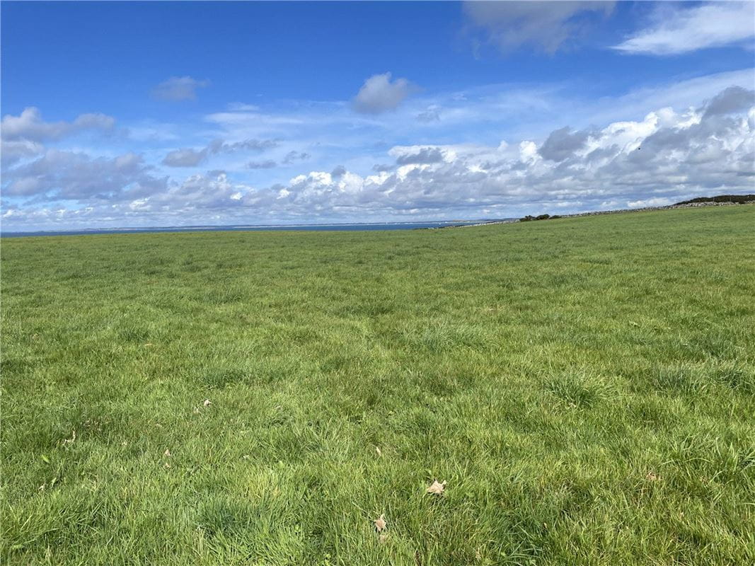 47.7 acres Land, Land At Bachwen, Clynnog Fawr LL54 - Available