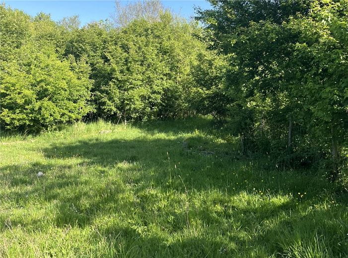 0.39 acres Land, Land At North Side Roman Road, Hatfield Peverel CM3 - Available