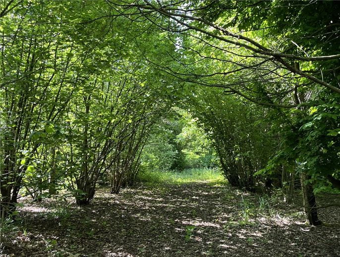  Land, Ockenden Road, Upminster RM14 - Available