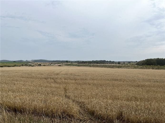 214 acres Land, Jerrys Lane, Lichfield WS14 - Available