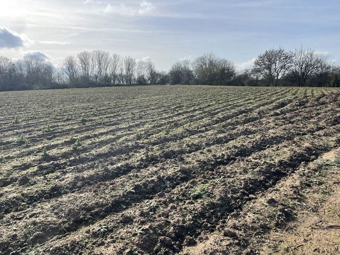 24.6 acres Land, Land At A46, Newark NG24 - Available