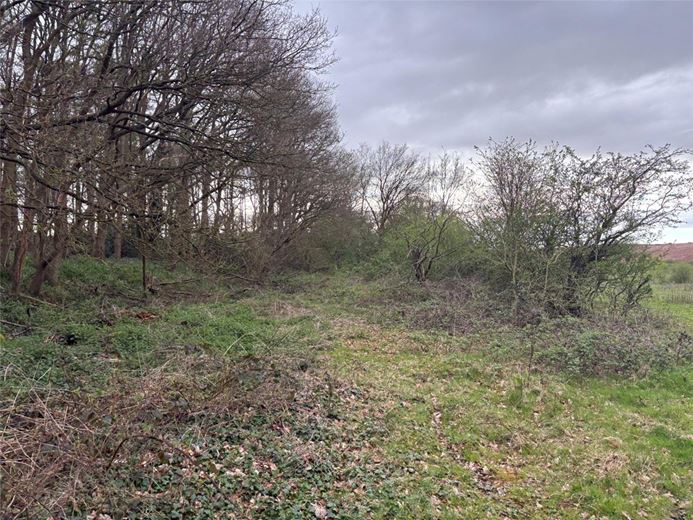 13.4 acres Land, Gilson Drive, Coleshill B46 - Available