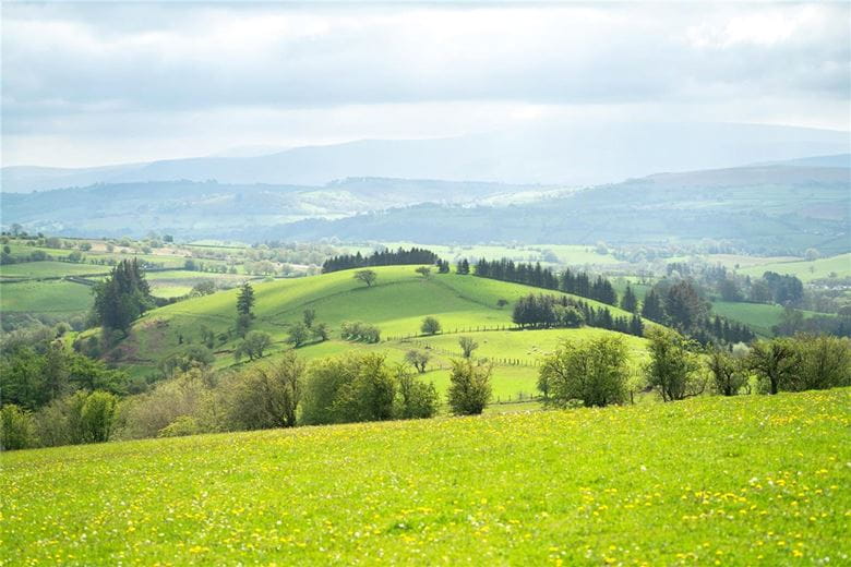 34.3 acres Farm, Pentrefelin, Sennybridge LD3 - Sold