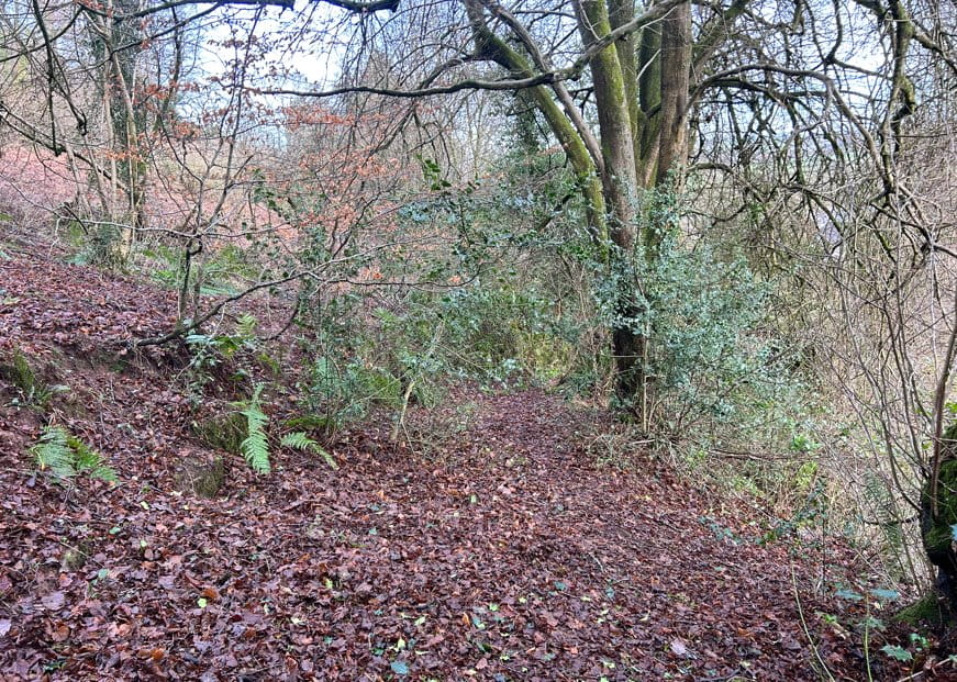 6.2 acres Land, Woodland At Mitcheldean, Mitcheldean GL17 - Sold