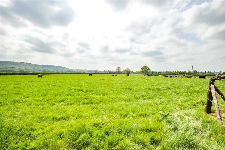 293.1 acres Land, Land At Capps Lane, Westbury, Wiltshire, BA13 - Sold