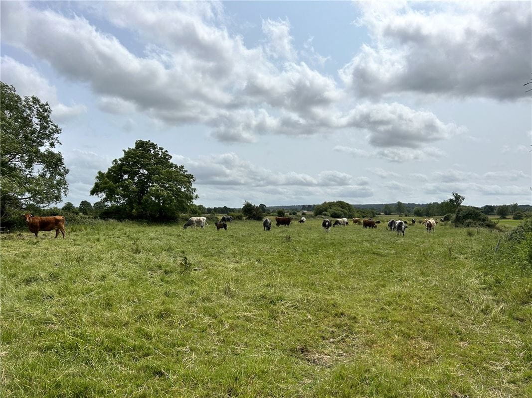 12 acres Land, Street Drove, Street BA16 - Available