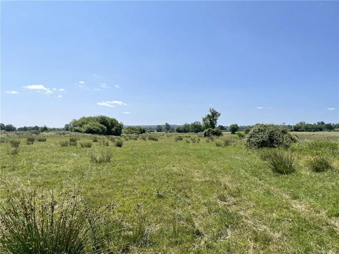 12 acres Land, Street Drove, Street BA16 - Available