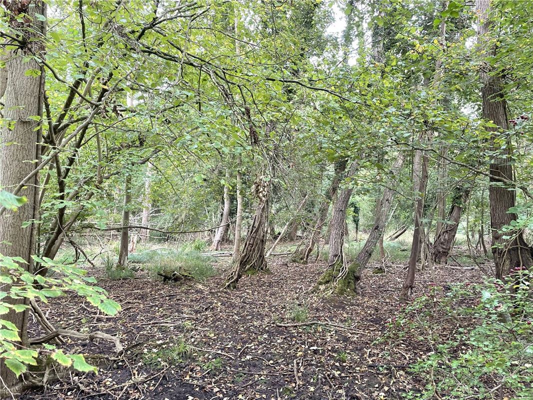 3.8 acres Land, Whittlesford, South Cambridgeshire CB22 - Available