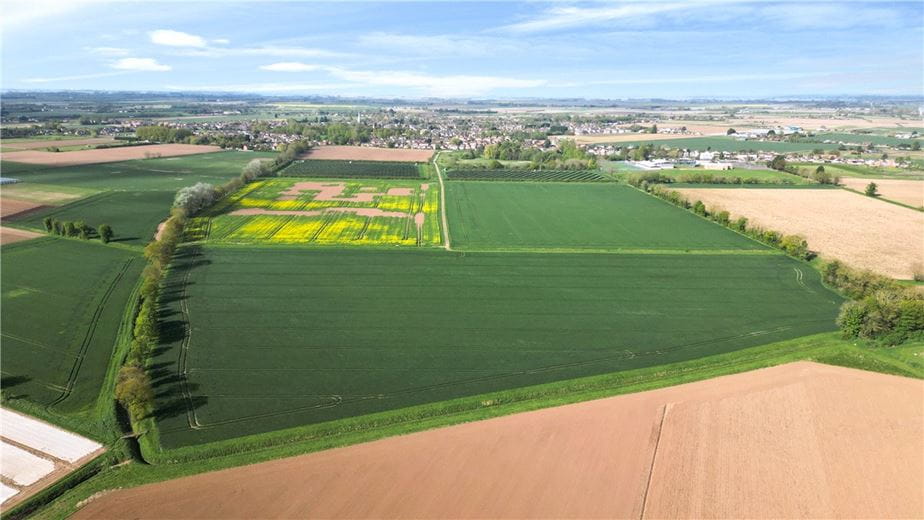 107.2 acres Land, Lot 1 - Hall Marsh Farm, Long Sutton PE12 - Sold