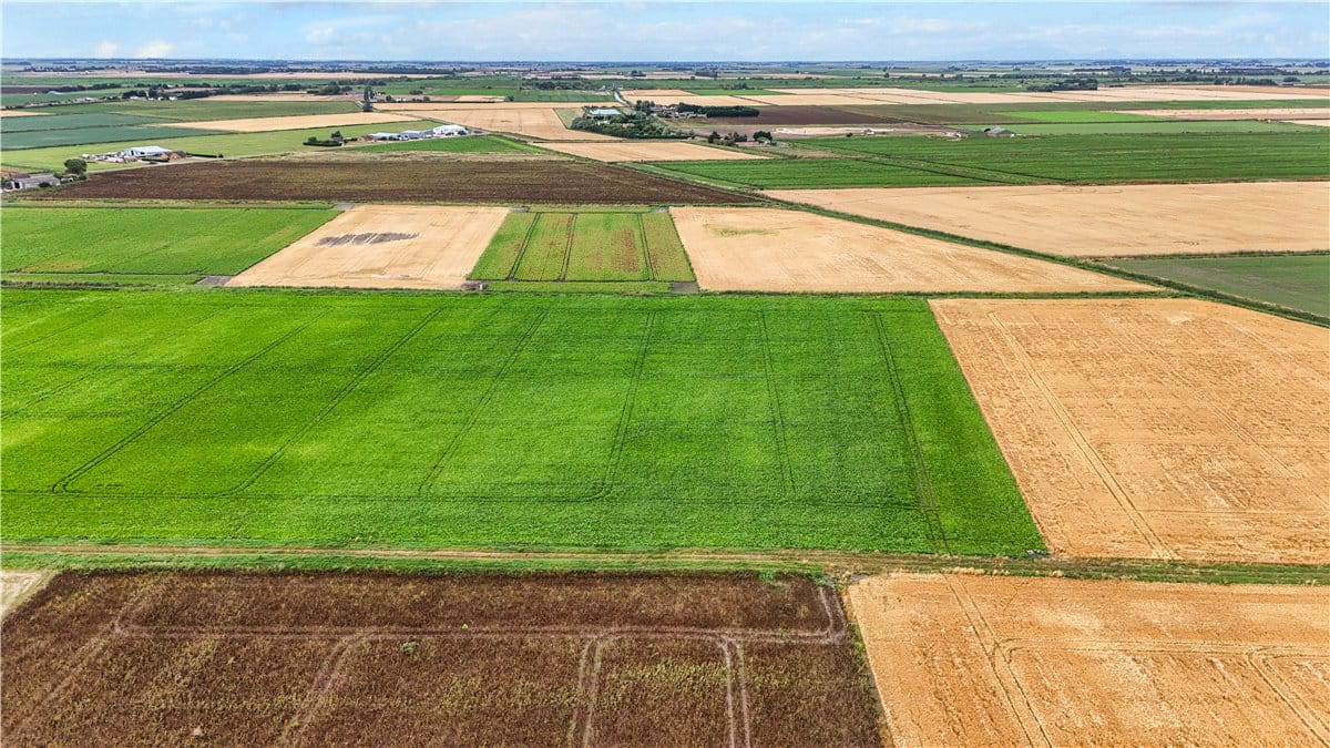 6.6 acres Land, Little Downham, Ely CB6 - Available