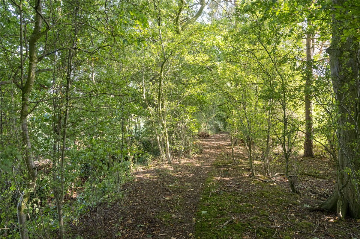 6 bedroom house, Near Bishop Monkton, North Yorkshire HG4 - Available