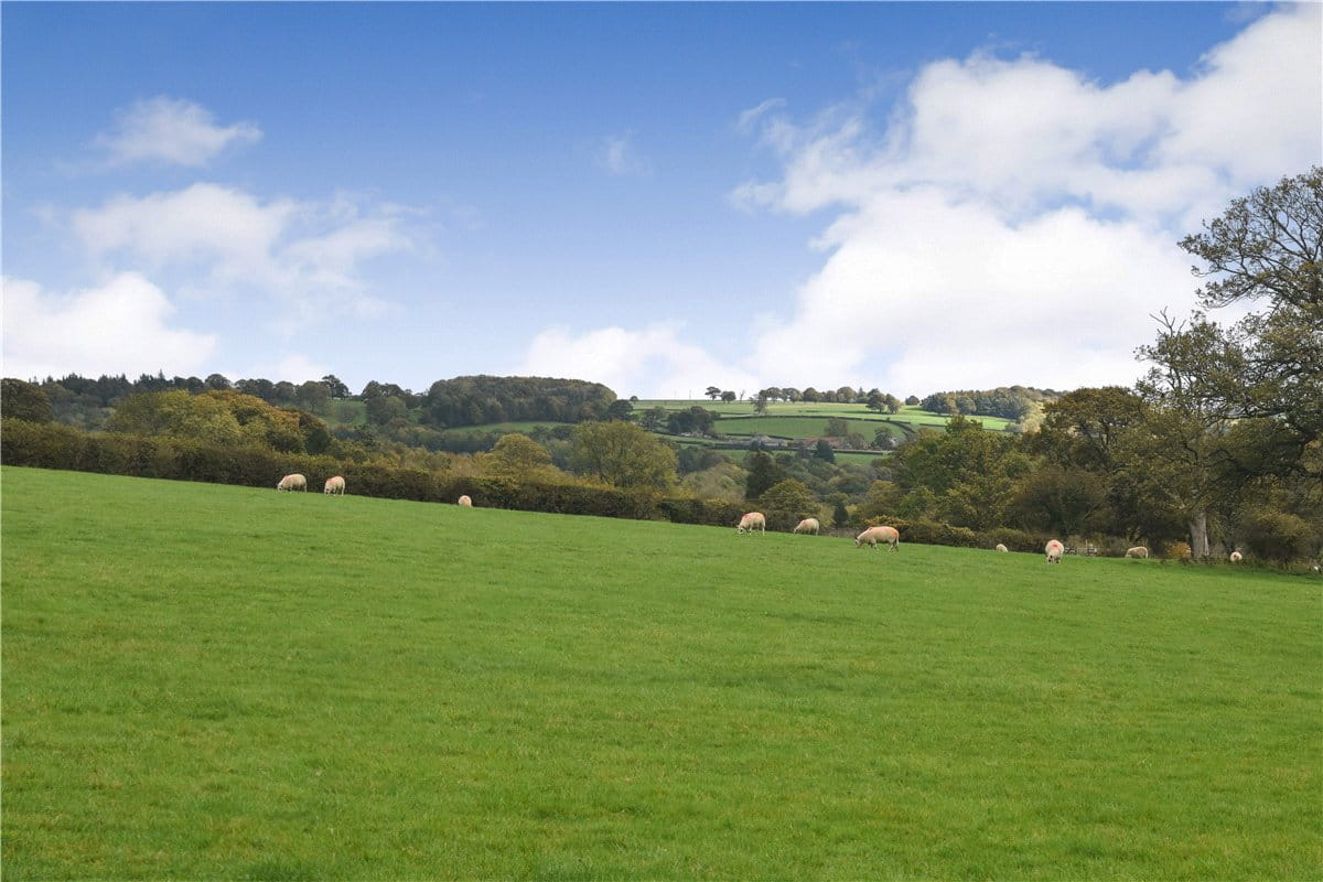 4 bedroom house, Summerbridge, Near Harrogate HG3 - Available