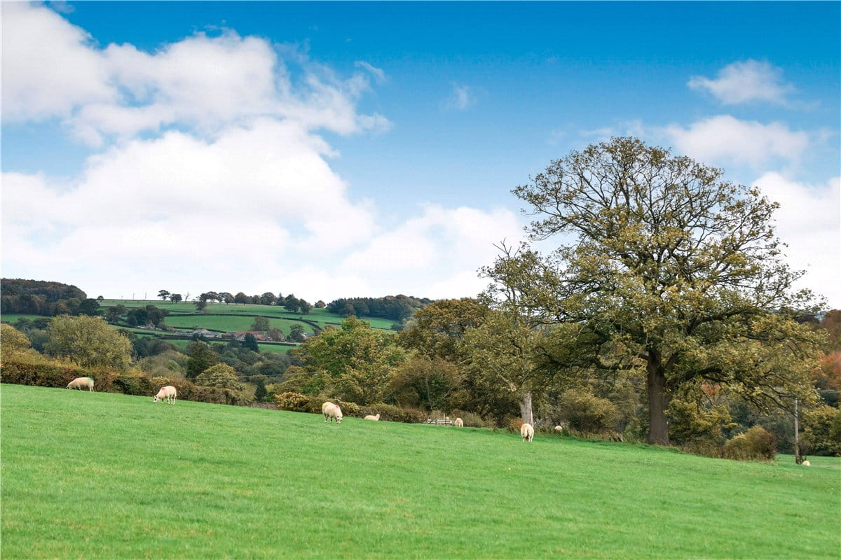 4 bedroom house, Summerbridge, Near Harrogate HG3 - Available