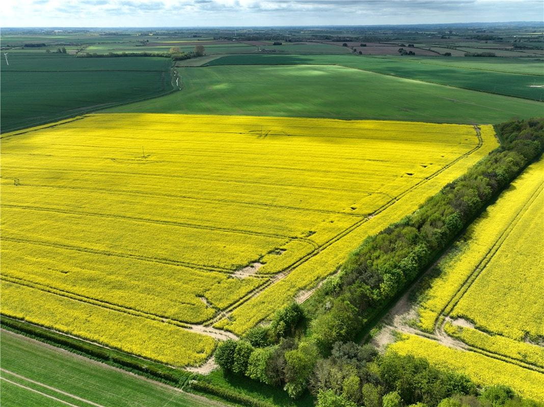  Land, Lot 2 - Land At Beeford and Foston, Driffield YO25 - Sold STC