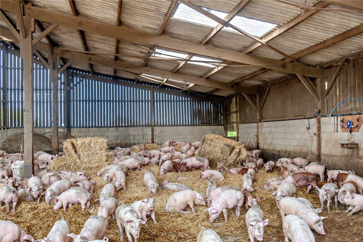  Farm, Wains Lane, Staxton YO12 - Sold STC