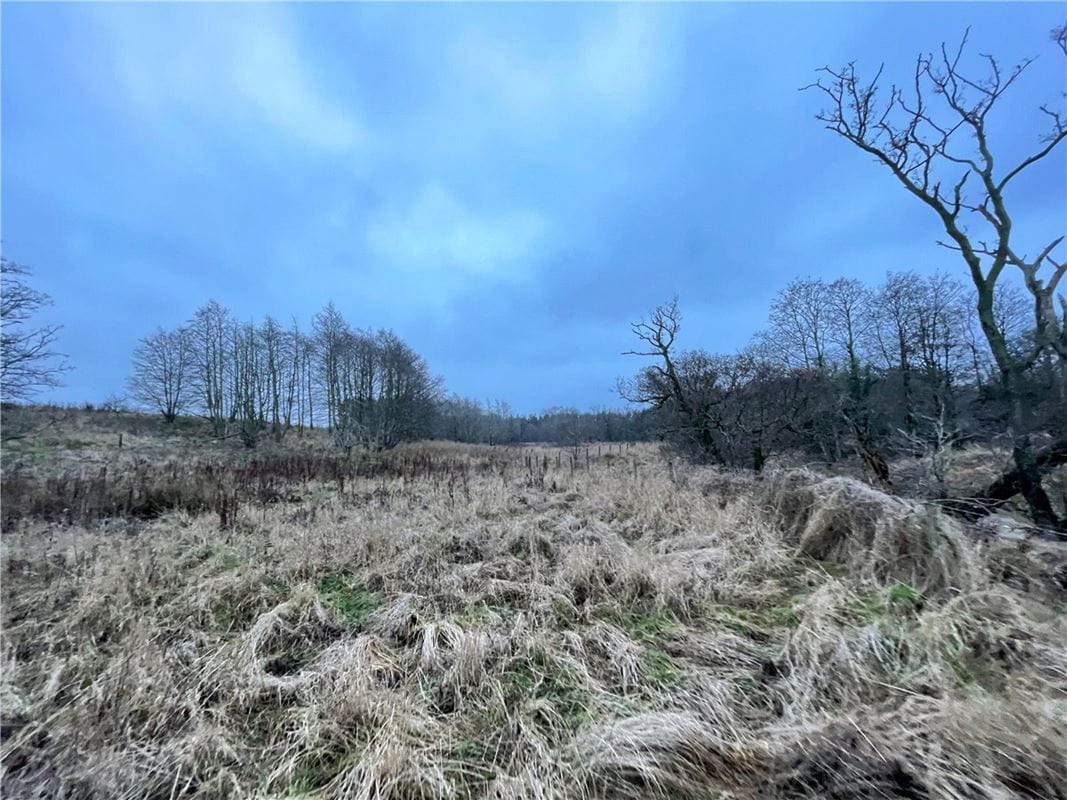  Land, Felton, Morpeth NE65 - Available