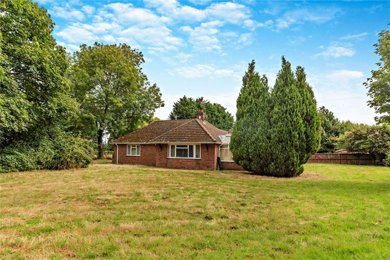 4 bedroom bungalow, Newbury Road, Headley RG19 - Available