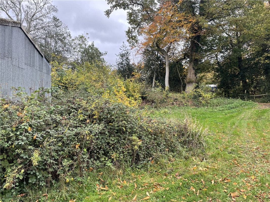  bedroom development plot, Newtown, Newbury RG20 - Available