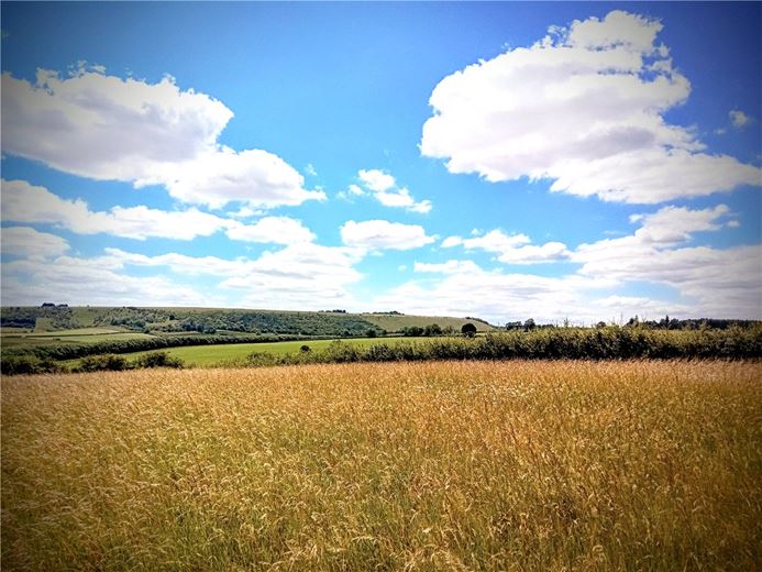 bedroom development plot, Ecchinswell Road, Kingsclere RG20 - Available