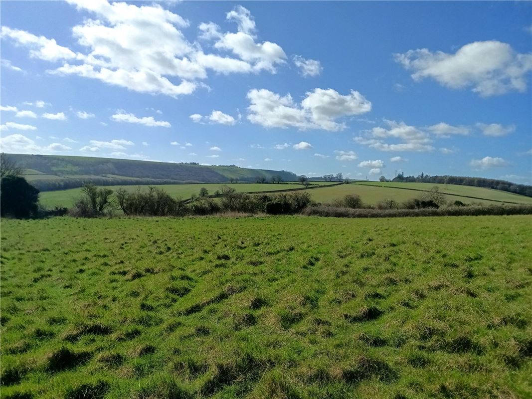  bedroom development plot, Ecchinswell Road, Kingsclere RG20 - Available