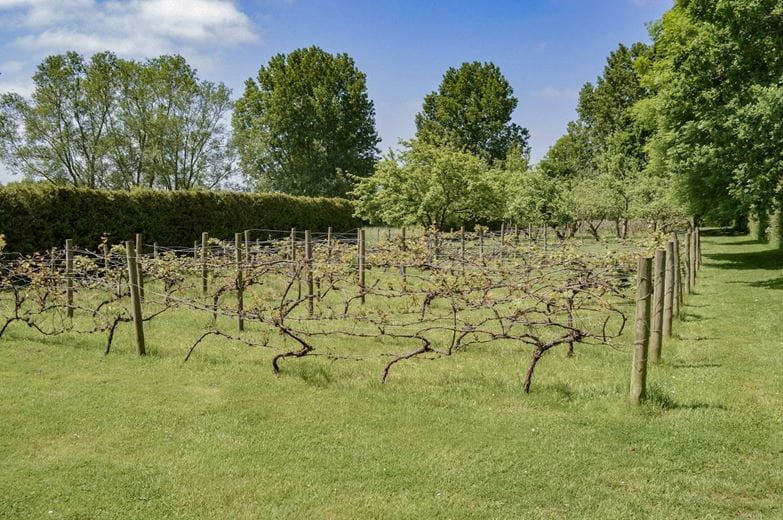 66 bedroom , Lew, Bampton OX18 - Available