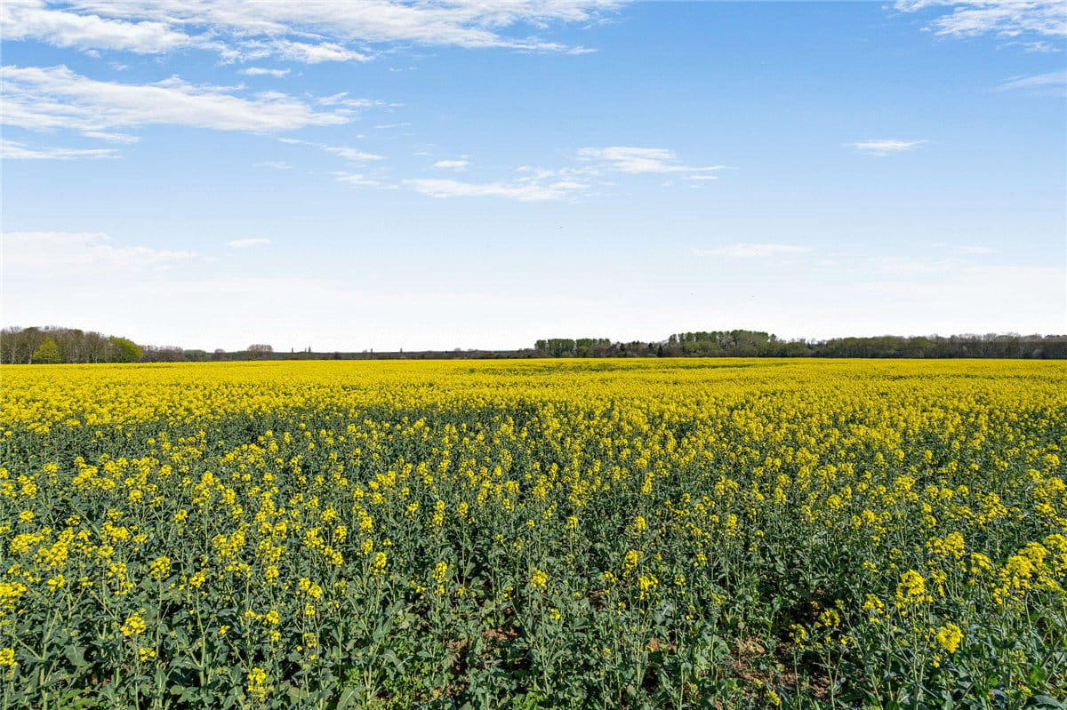 69.1 acres Land, Thame, OX9 - Available