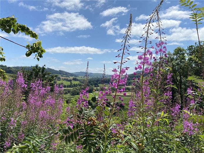  Land, Llangyniew, Welshpool SY21 - Available