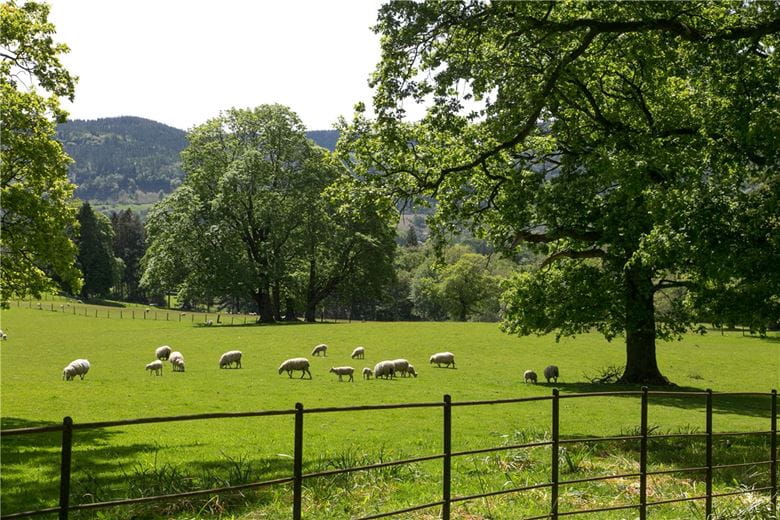 122 acres Country Estate, Llanrwst, Conwy LL26 - Sold STC