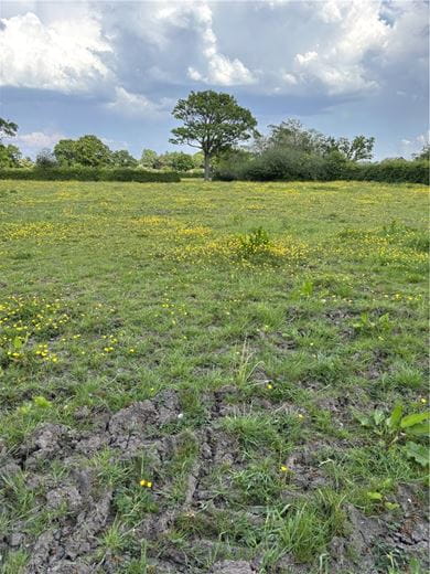  bedroom , Outlying Portions of the Iscoyd Estate - Lot 5, Whitchurch SY13 - Available