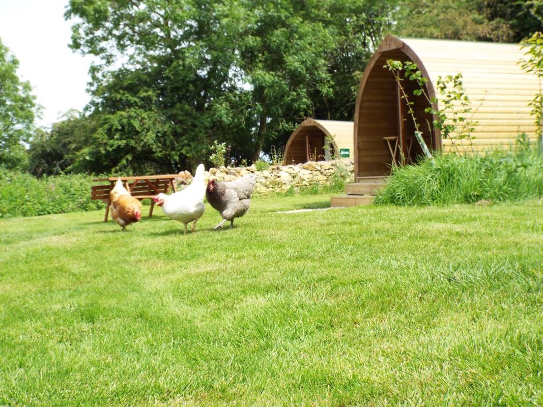 5.3 acres Land, Farleigh Rise, Monkton Farleigh BA15 - Sold STC