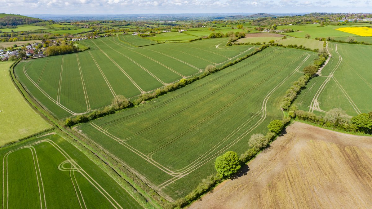 289.5 acres House, Cann, Shaftesbury SP7 - Sold