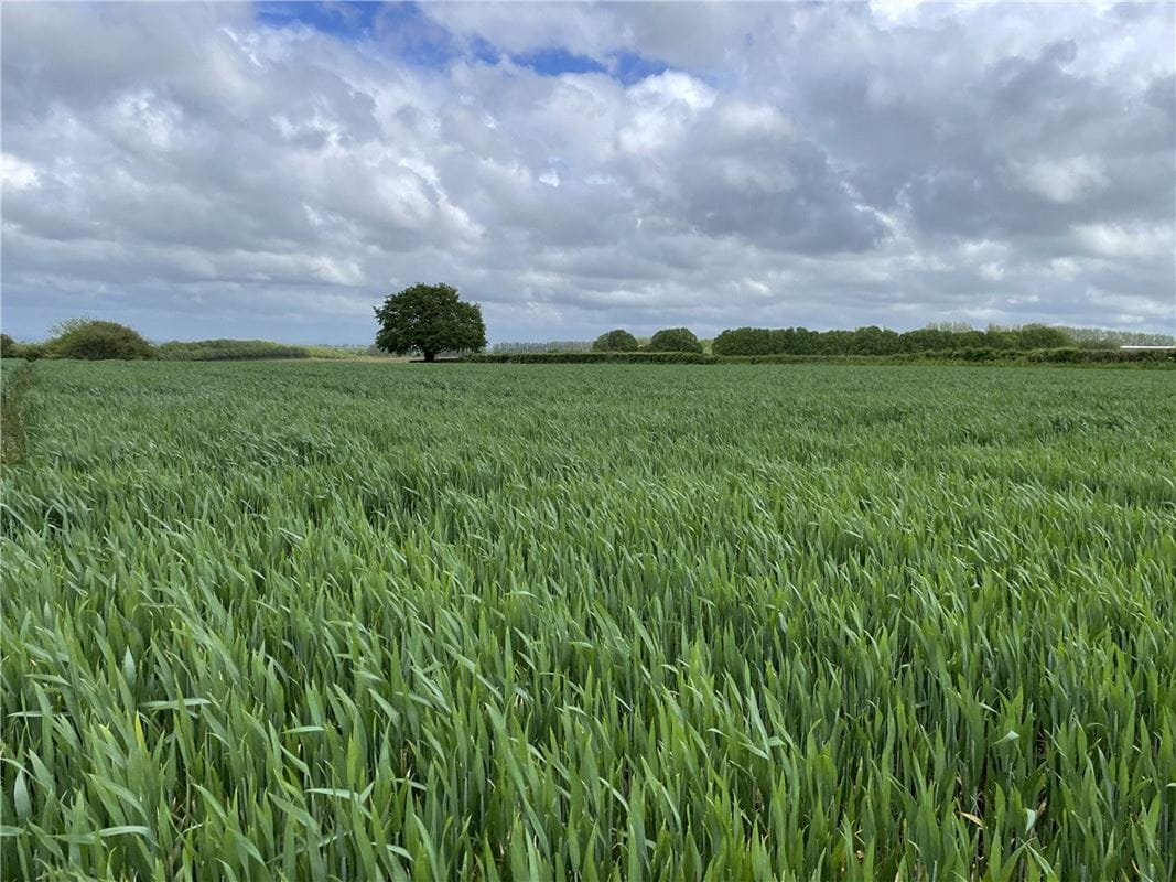 6 acres Land, Land At Seavington St. Michael, Somerset TA13 - Sold