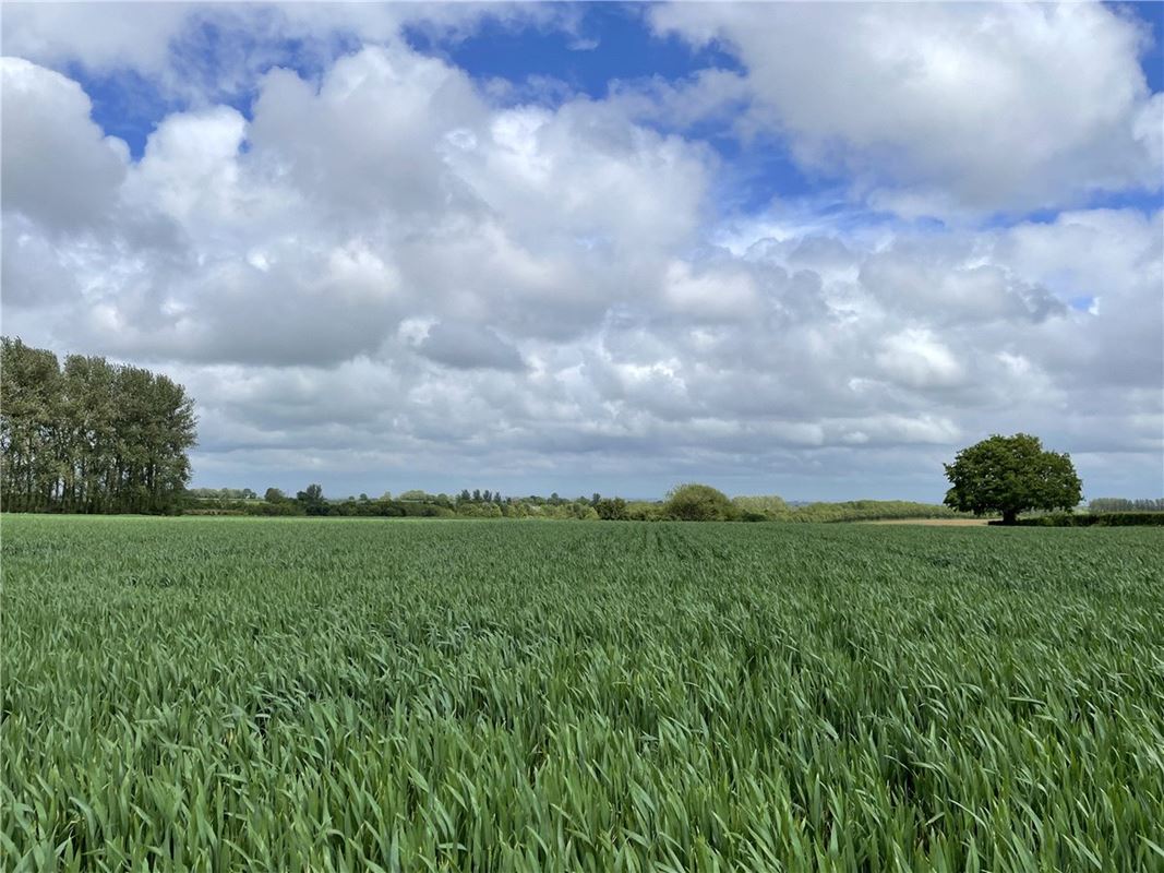 6 acres Land, Land At Seavington St. Michael, Somerset TA13 - Sold