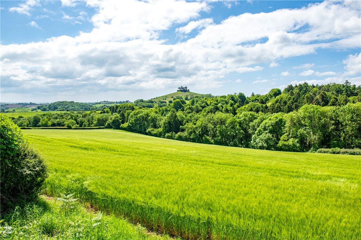 518 acres Farm, Dottery, Bridport DT6 - Sold STC