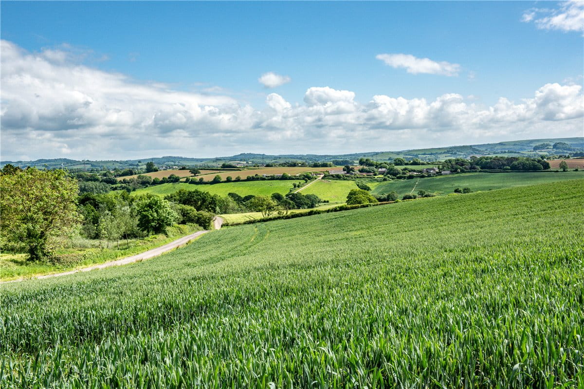 518 acres Farm, Dottery, Bridport DT6 - Sold STC