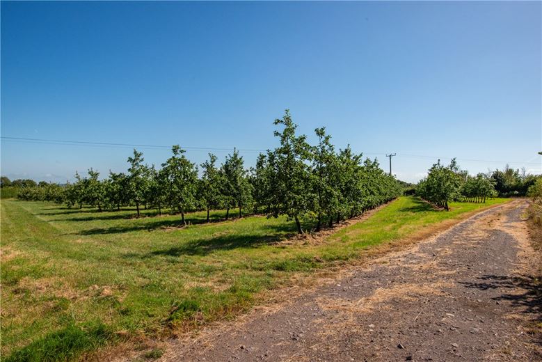 41.4 acres Land, Shepton Mallett, Somerset BA4 - Sold