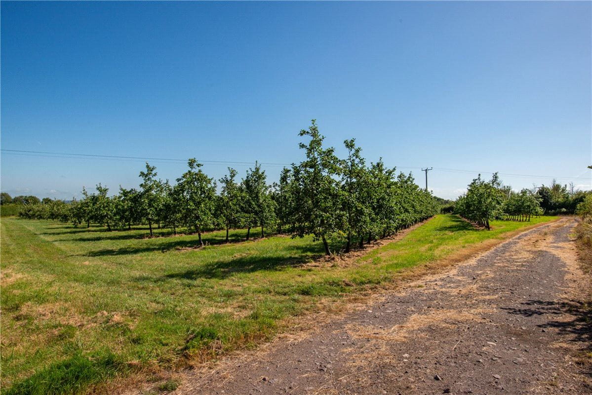 41.4 acres Land, Shepton Mallett, Somerset BA4 - Sold