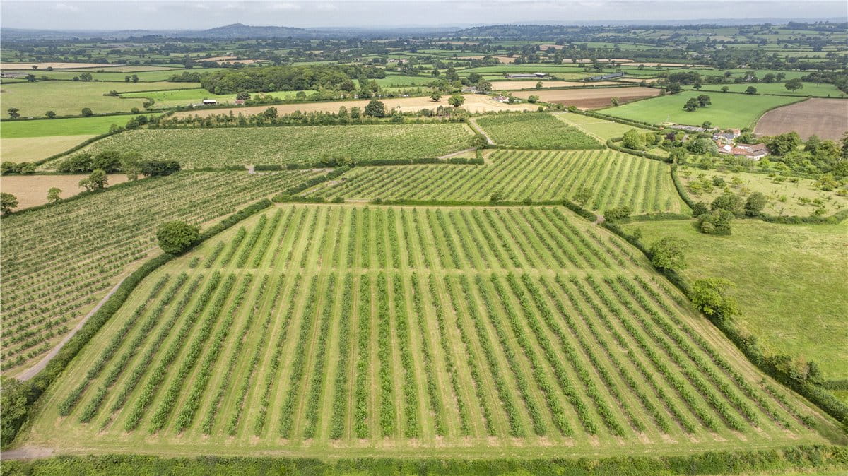 41.4 acres Land, Shepton Mallett, Somerset BA4 - Sold