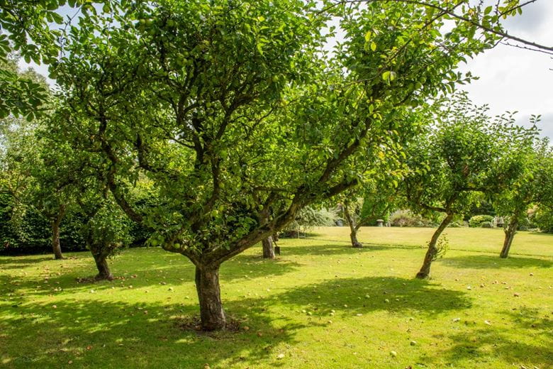 60 acres House, Manor Farm, Alhampton BA4 - Sold