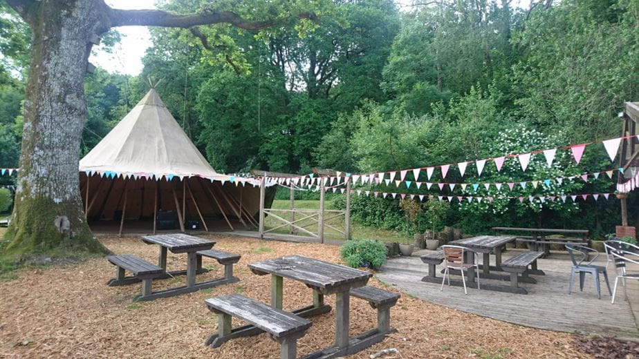 27.9 acres Land, Staplehill Road, Liverton TQ12 - Sold STC